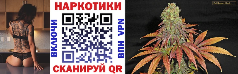 Бошки Шишки Корсаков
