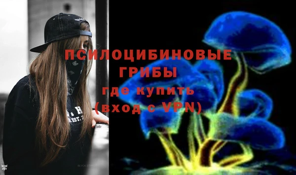 трава Заволжск