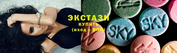 индика Заводоуковск