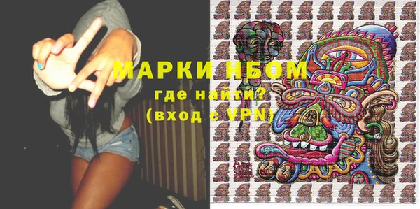 индика Заводоуковск