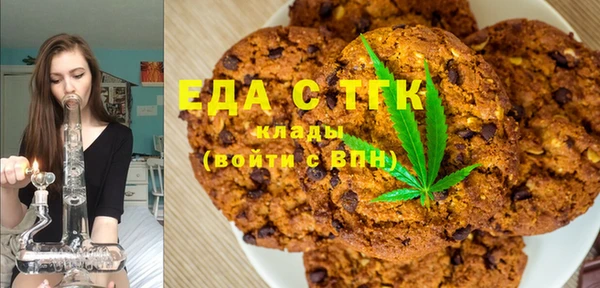 индика Заводоуковск