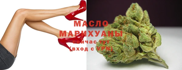 индика Заводоуковск