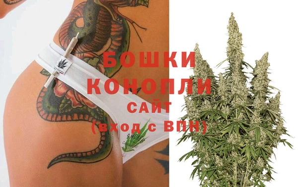 трава Заволжск