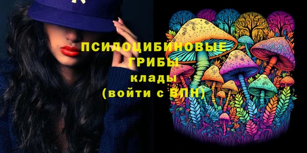 apvp Зеленокумск