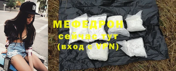 индика Заводоуковск