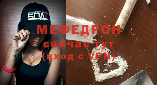 индика Заводоуковск